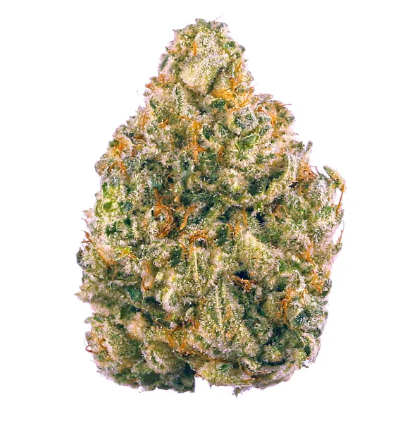 Cookies-Gelato-1 Cookies Gelato - Image 1